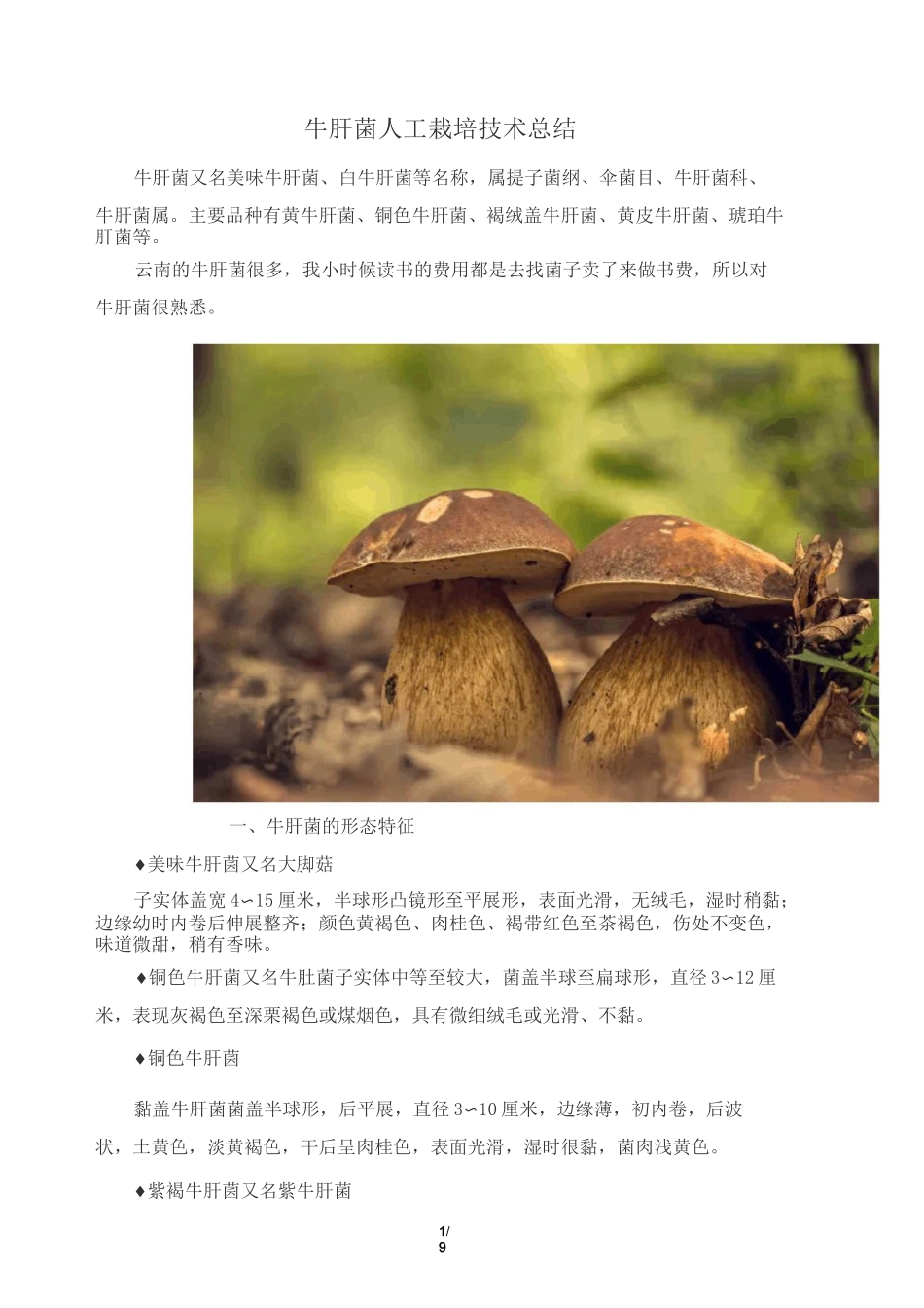 牛肝菌人工栽培技术总结_第1页