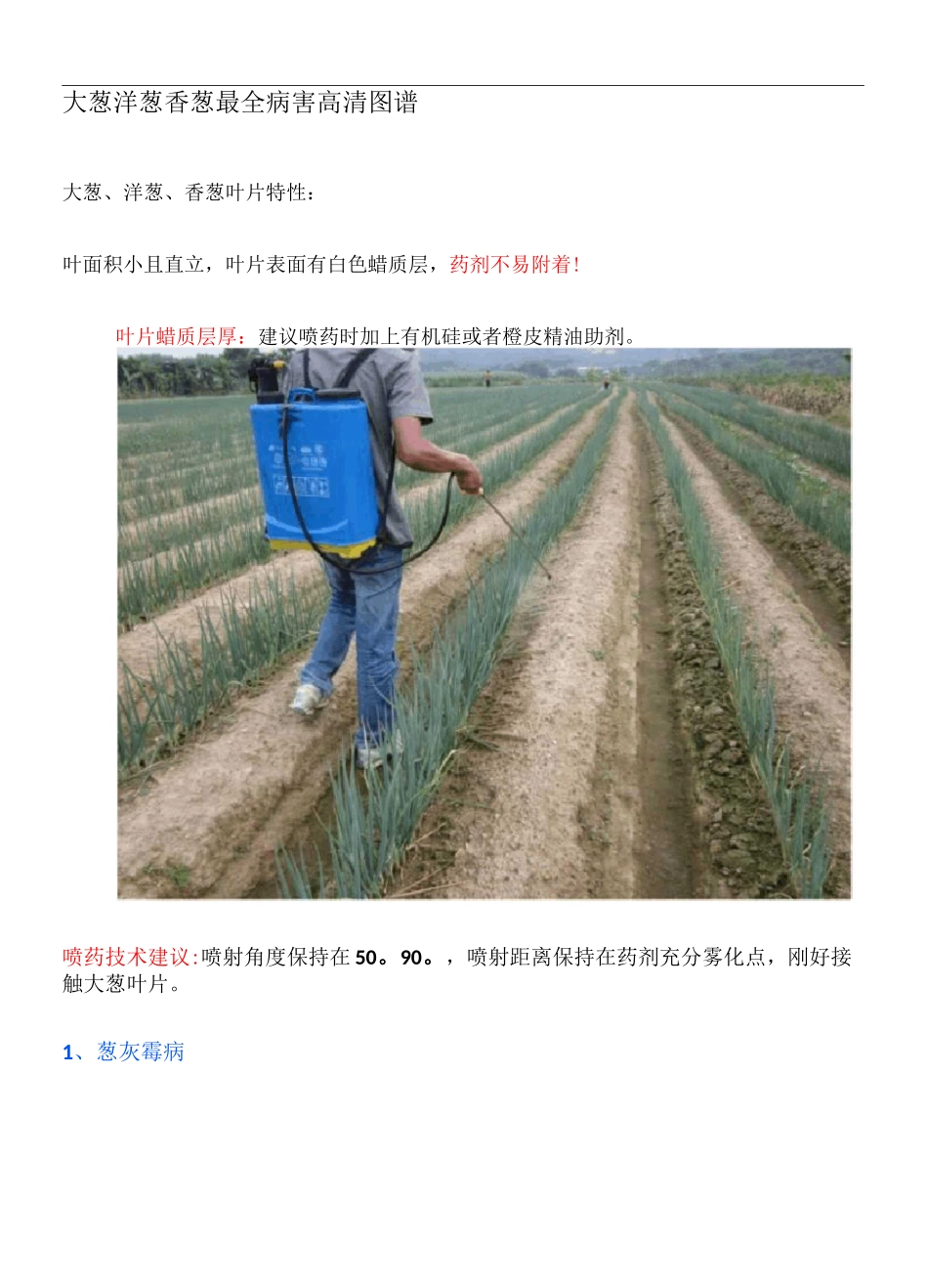 大葱洋葱香葱最全病害高清图谱_第1页
