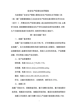 选煤厂-安全生产标准化自评报告