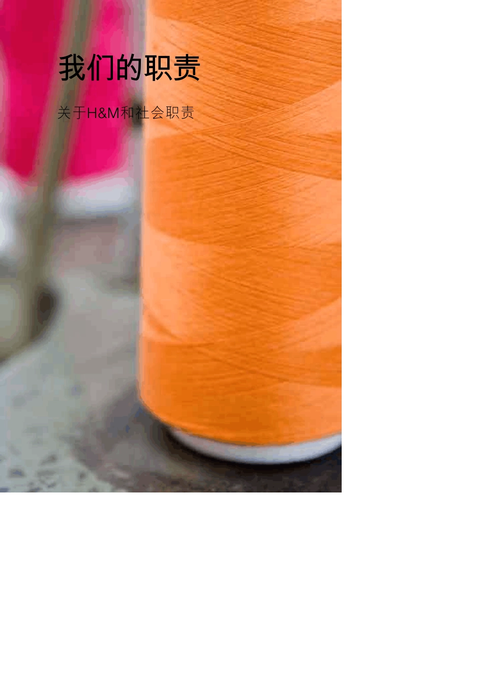 Hamp;M社会责任手册_第1页