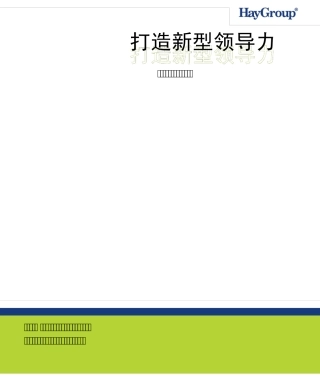 Hay领导力资料中文版