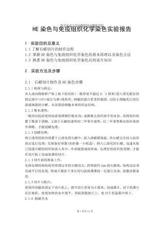 HE染色与免疫组织化学染色实验报告