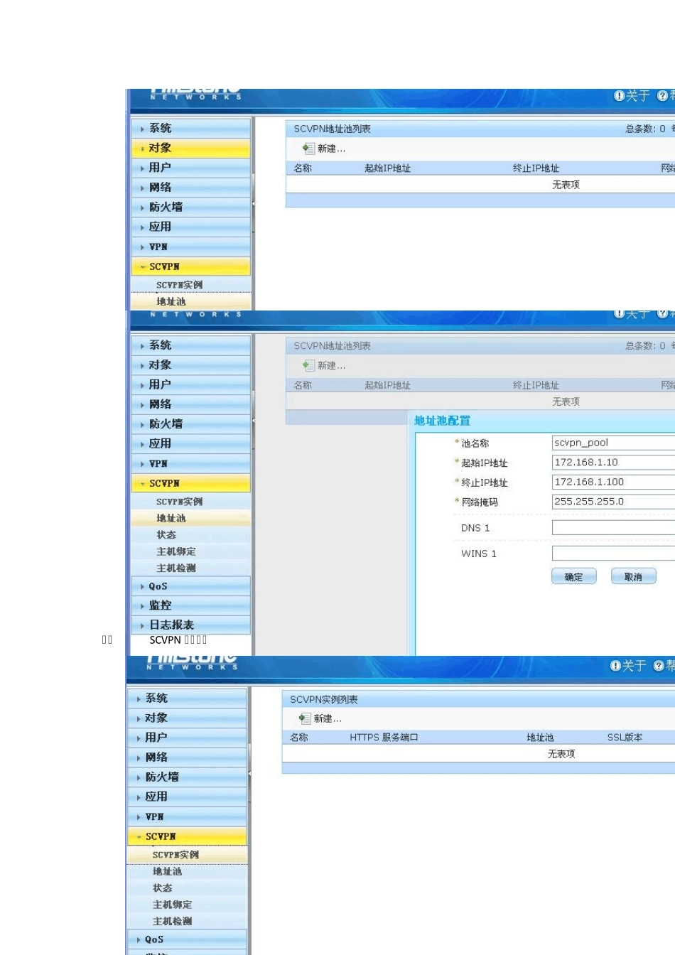 HillstoneSCVPN配置_第3页