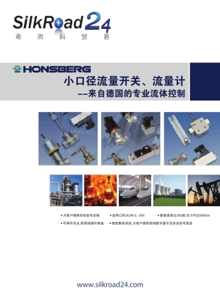 honsberg流量开关和流量计