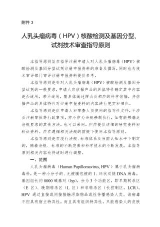 hpv指导原则