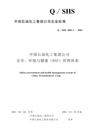 HSE中石油中石化标准
