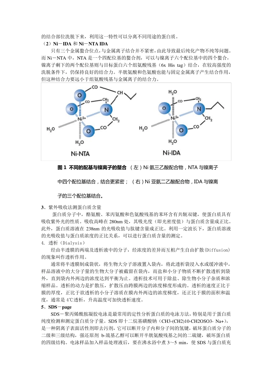 Hsp16.3蛋白纯化分析_第2页