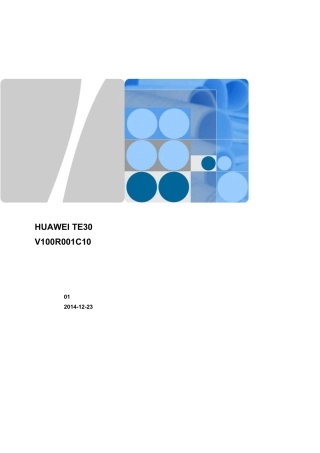HUAWEITE30会议电视终端V100R001C10用户指南01
