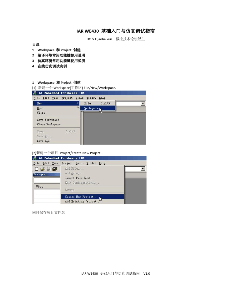 IARWE430调试快速指南_第1页