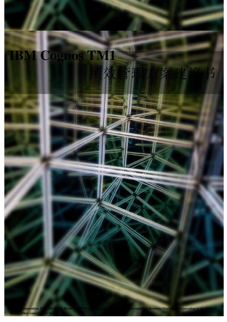 IBMCognosTM1绩效管理软件方案建议书_第1页