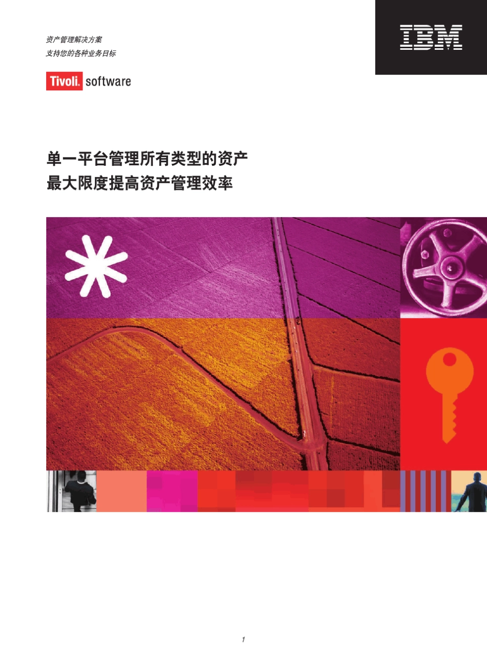 IBMMaximo资产管理解决方案_第1页