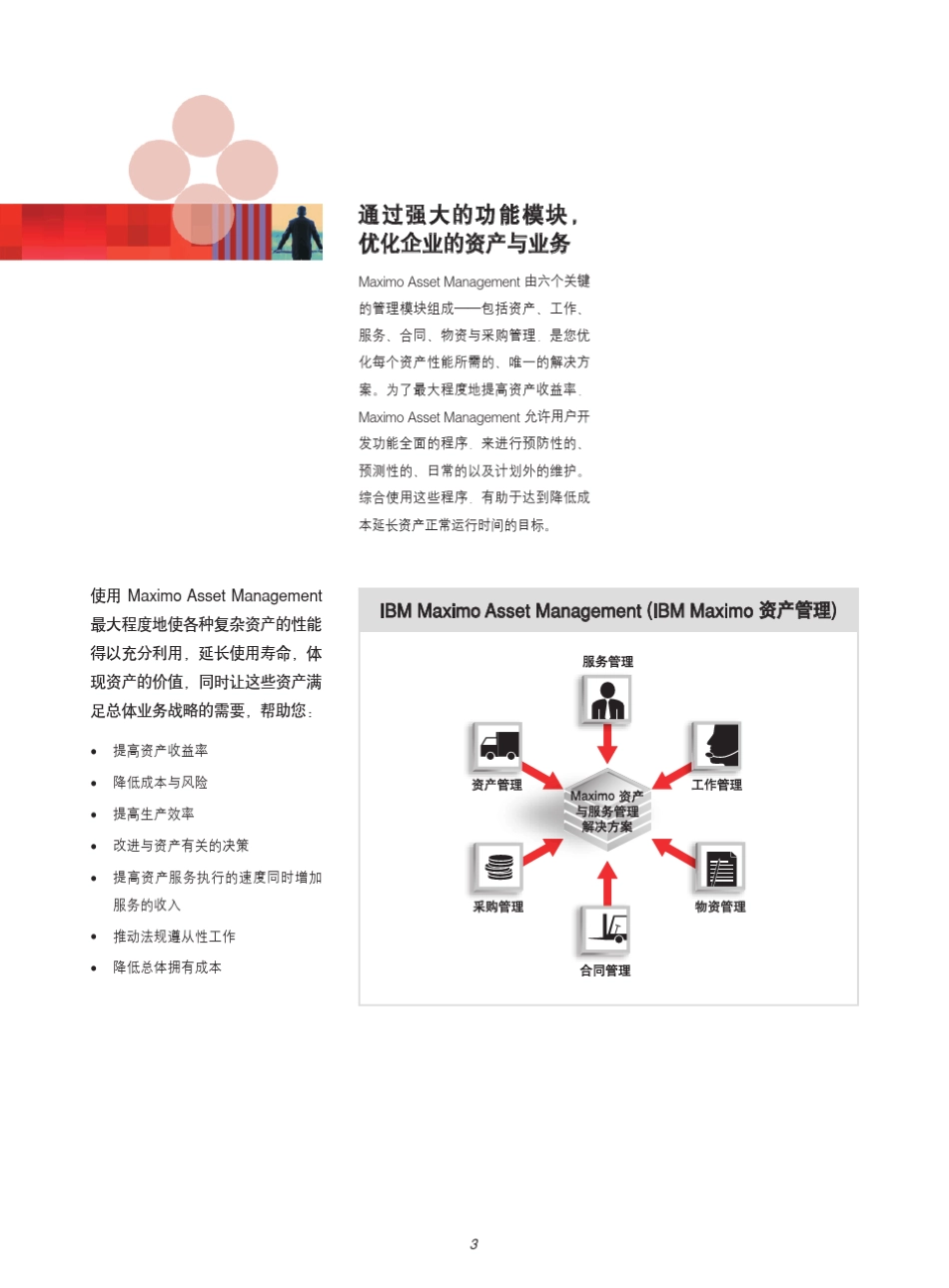 IBMMaximo资产管理解决方案_第3页