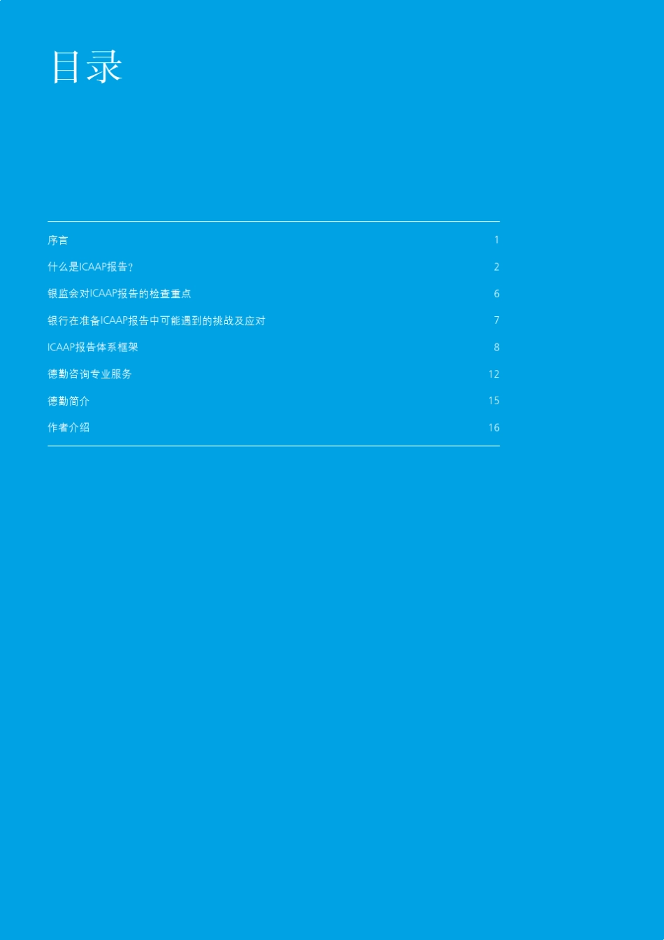 ICAAP报告_第2页