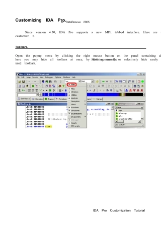 IDApro自定义手册