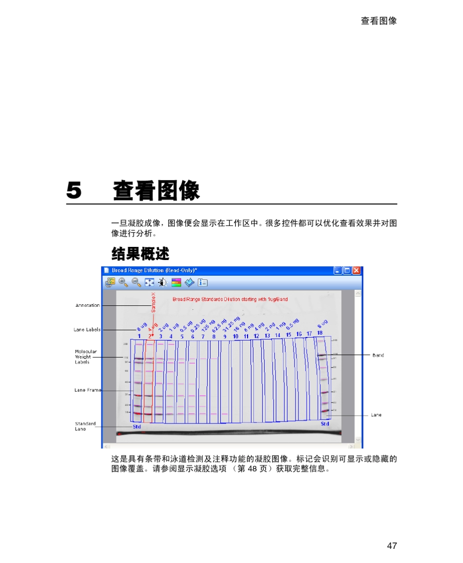 imagelab软件中文说明_第1页