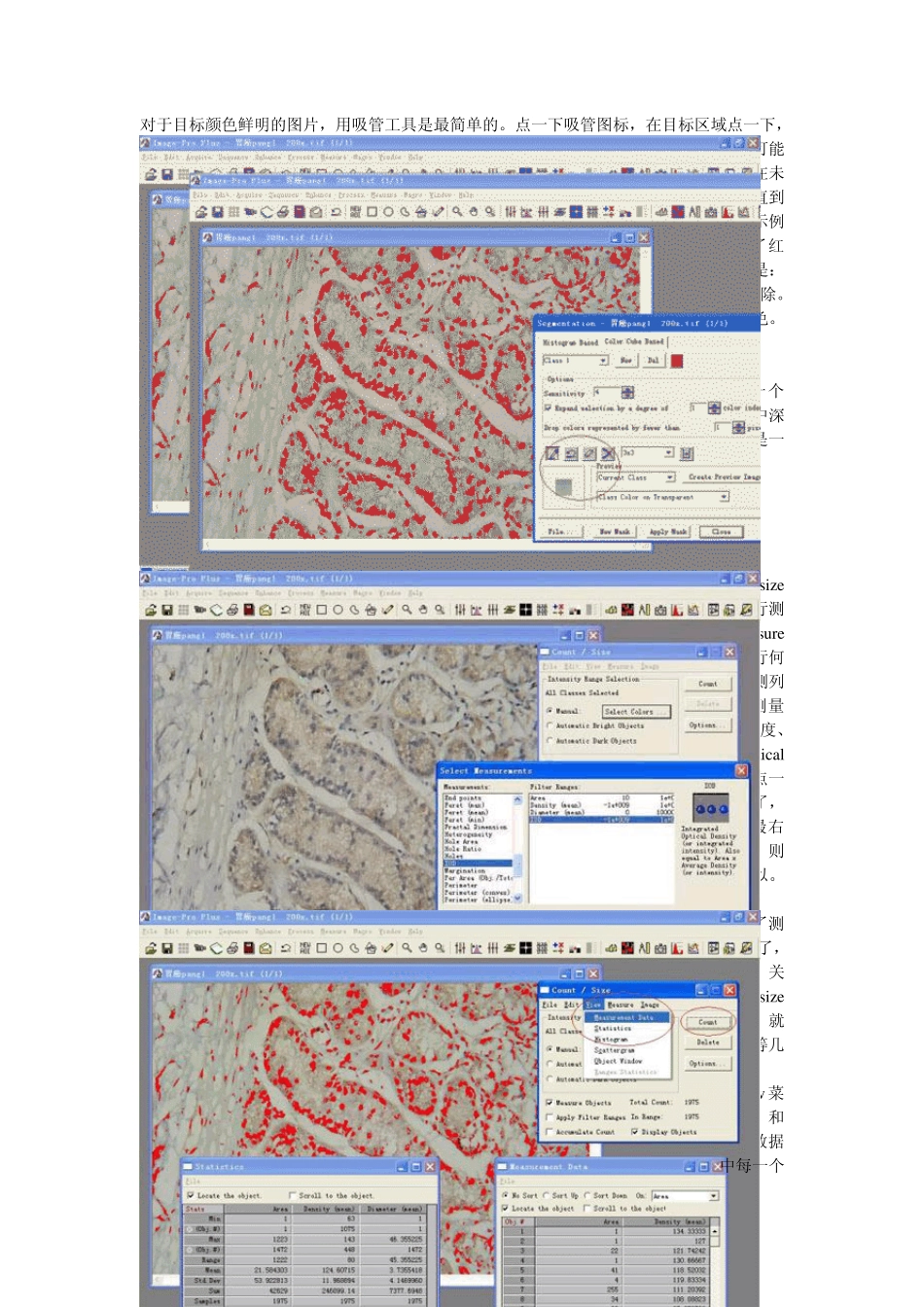 imagepro图像分析软件教程_第2页