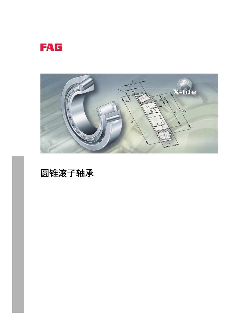 INAFAG轴承样本中文版圆锥滚子轴承_第1页