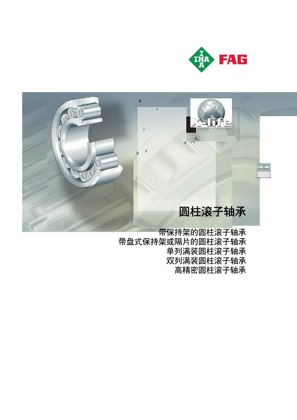 INAFAG轴承样本中文版圆柱滚子轴承_第1页
