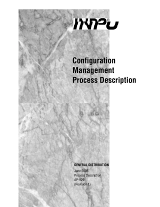 INPOAP9292005配置管理过程描述