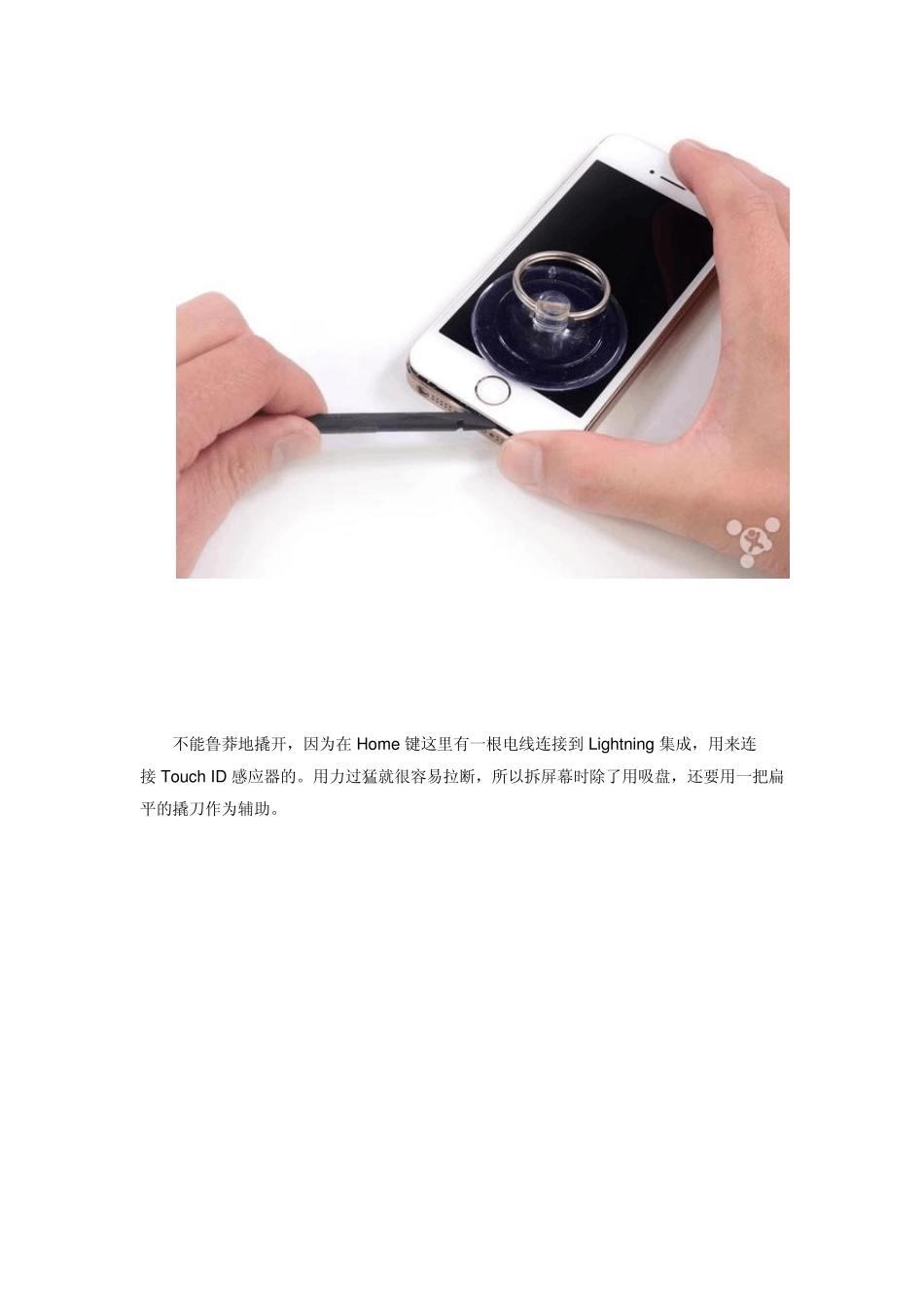 iPhone5s详尽拆解图文_第3页