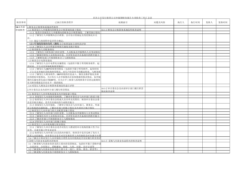 IPO财务自查工作底稿模板_第1页