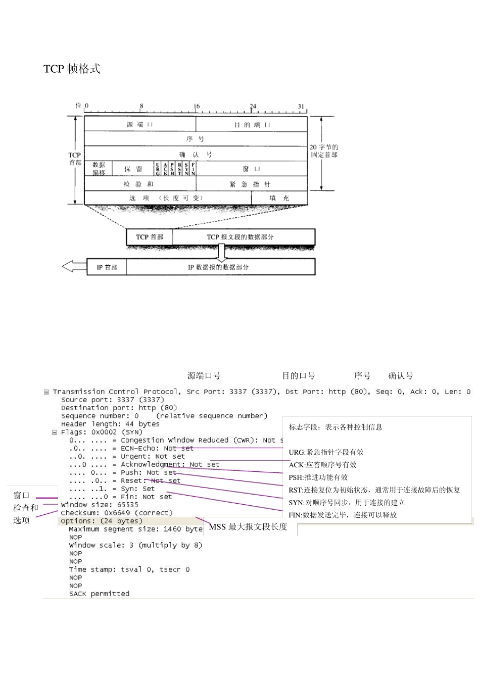 IPTCPHTTP帧格式_第3页