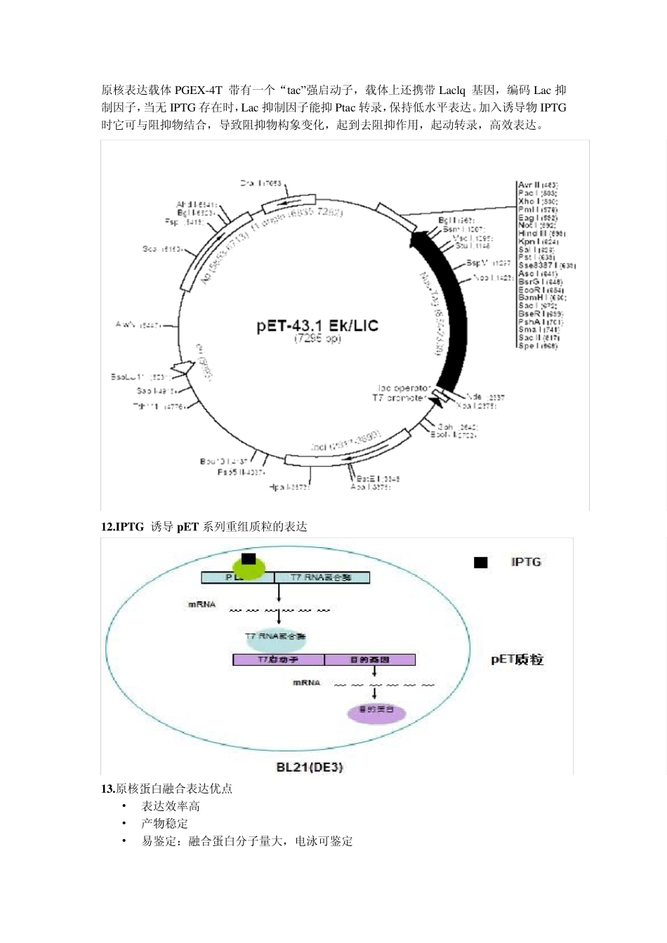 IPTG诱导表达_第3页