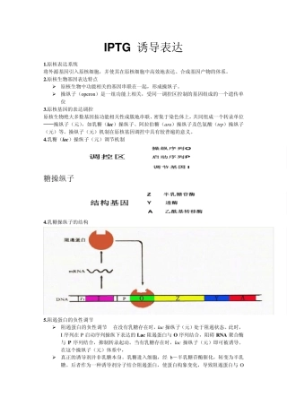 IPTG诱导表达