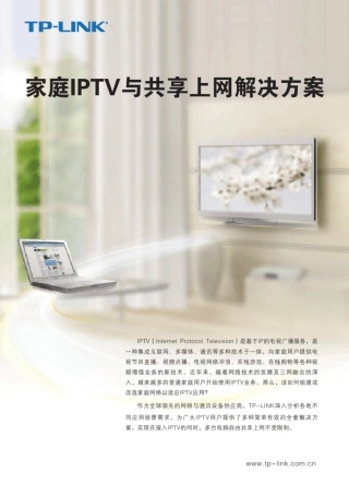 IPTV上网解决方案