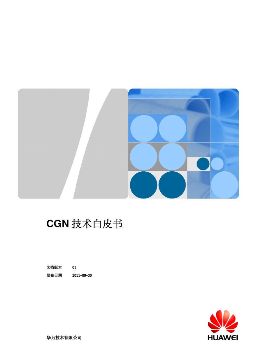 IPv6解决方案_CGN技术白皮书V1.0_第1页