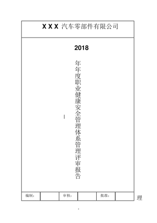 ISO450012018管审报告汇编版