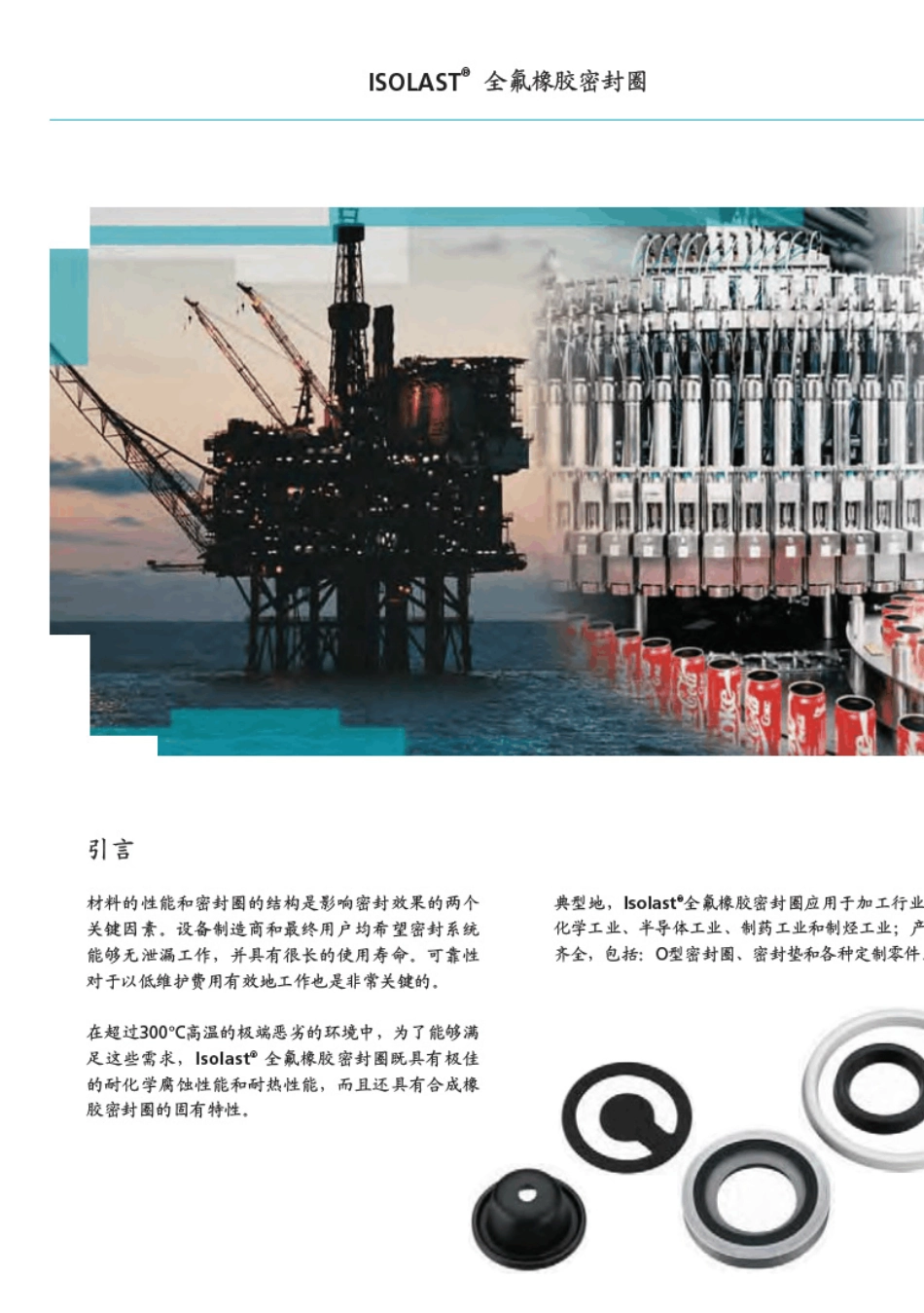 isolast全氟橡胶密封全_第2页