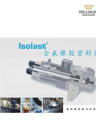 isolast全氟橡胶密封全