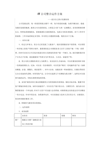 IT公司运营方案