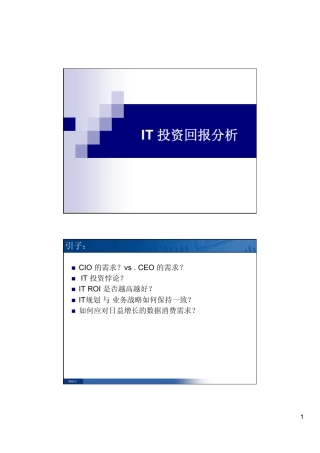 IT投资回报分析