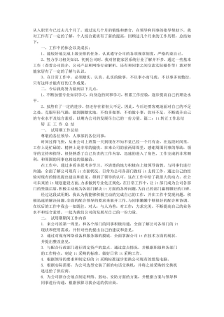 IT转正述职报告