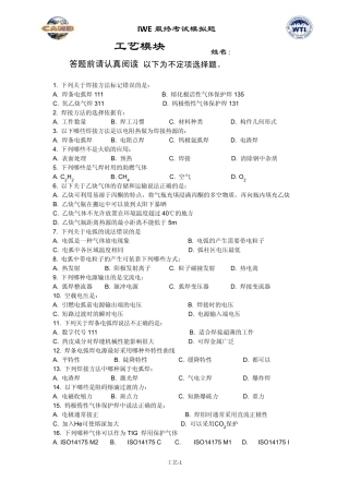 IWE模拟题及答案