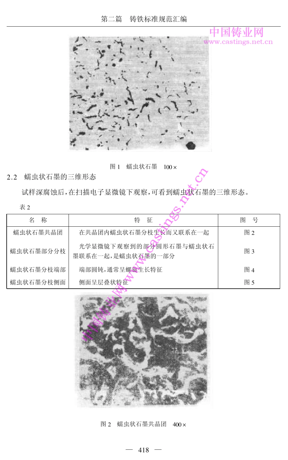 JBT38291999蠕墨铸铁金相_第2页