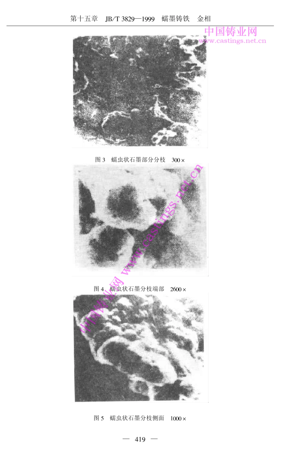 JBT38291999蠕墨铸铁金相_第3页