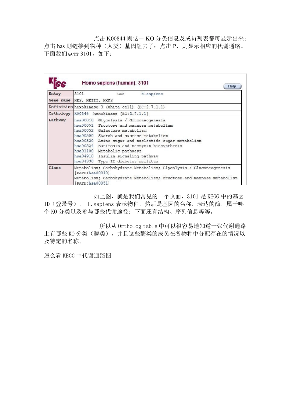 KEGG数据库的使用说明_第2页