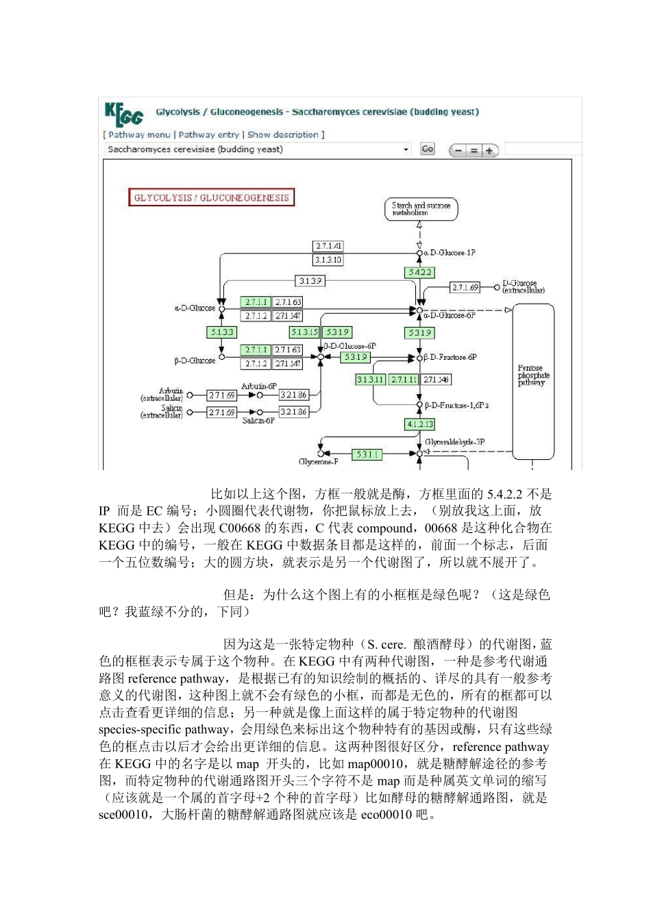 KEGG数据库的使用说明_第3页