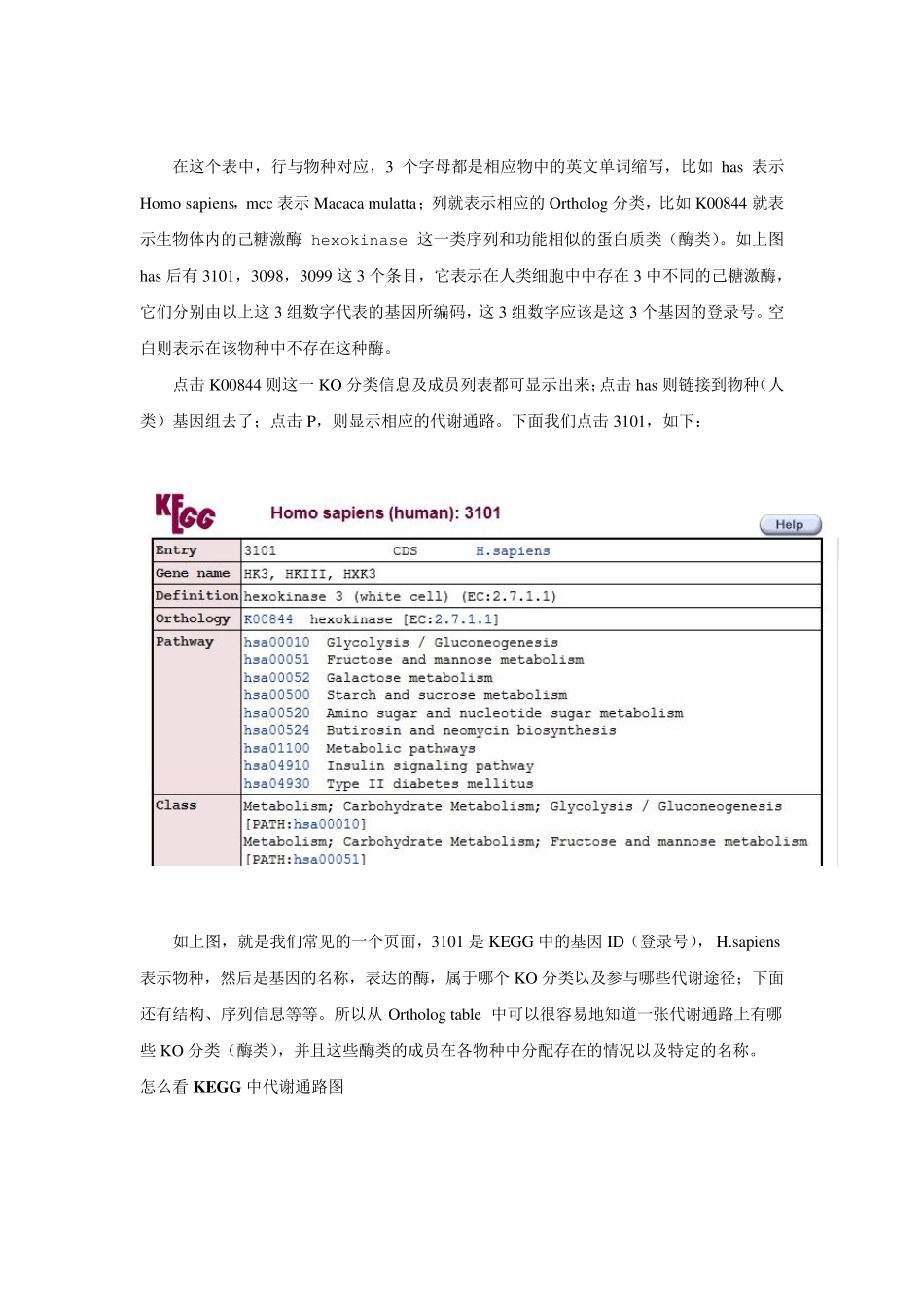 KEGG使用经验原创总结_第2页