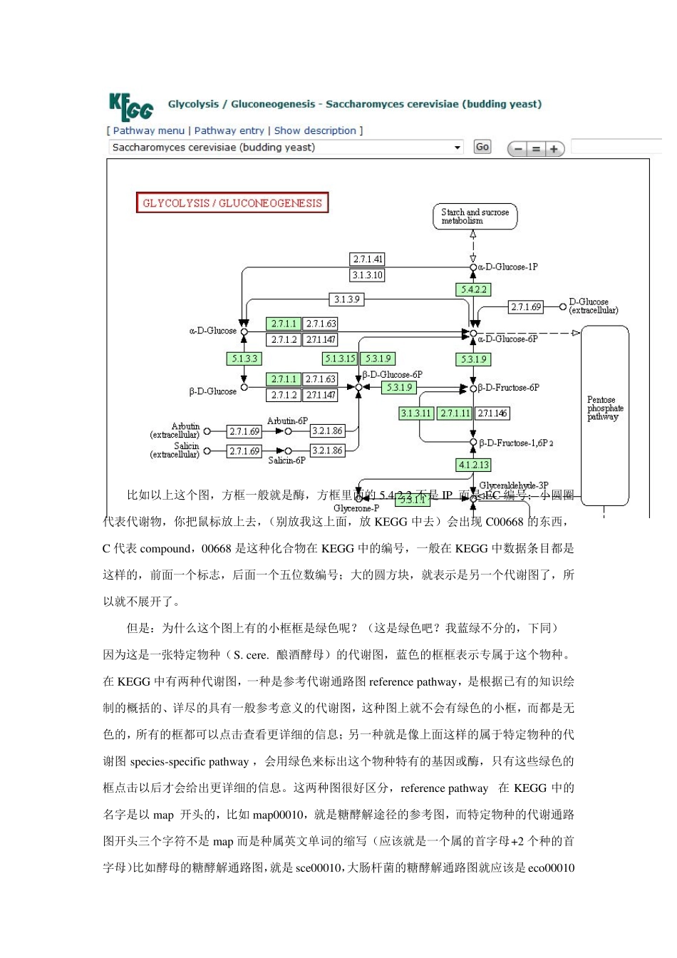 KEGG使用经验原创总结_第3页
