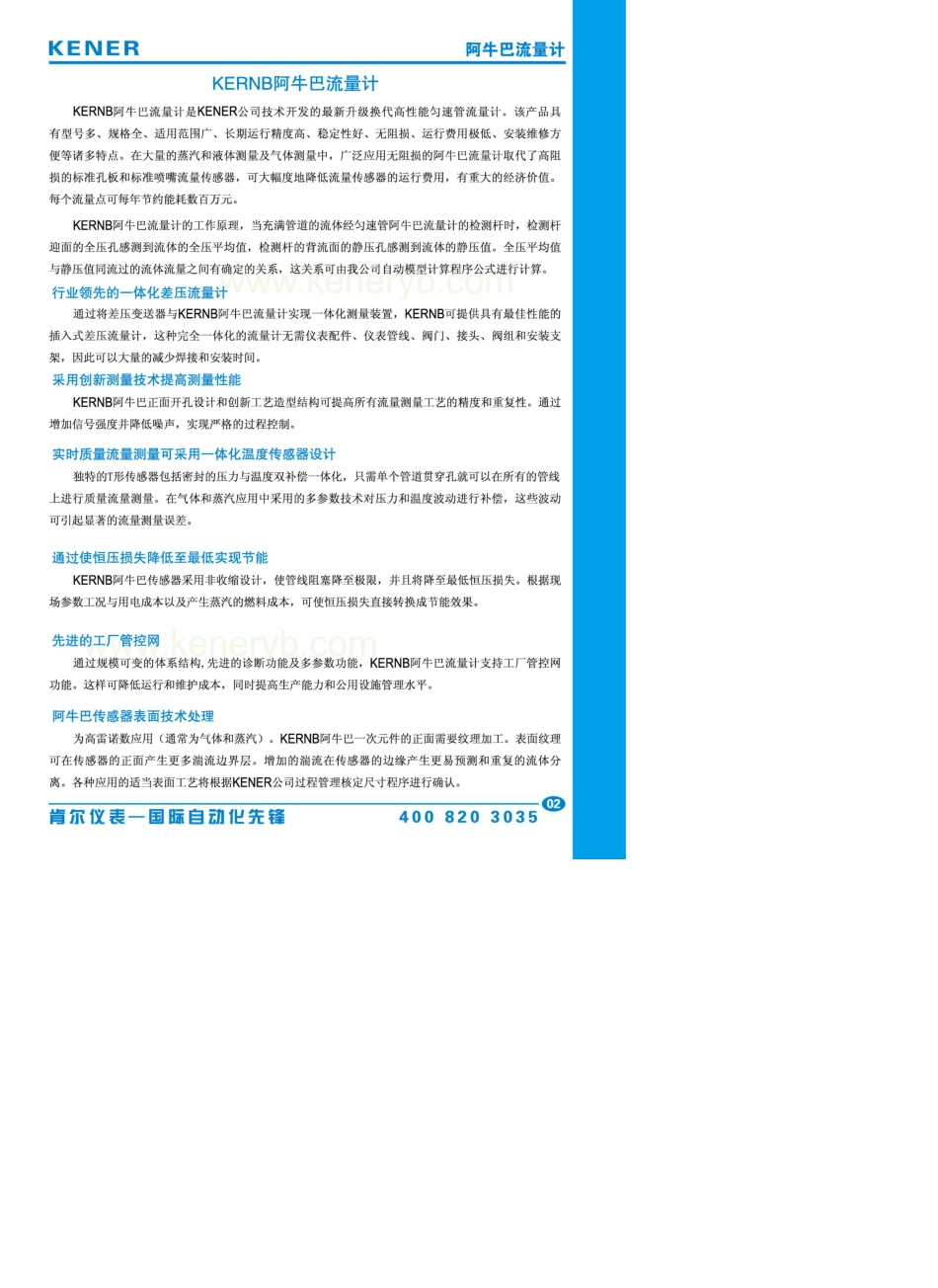 KERNB阿牛巴流量计技术说明书_第3页