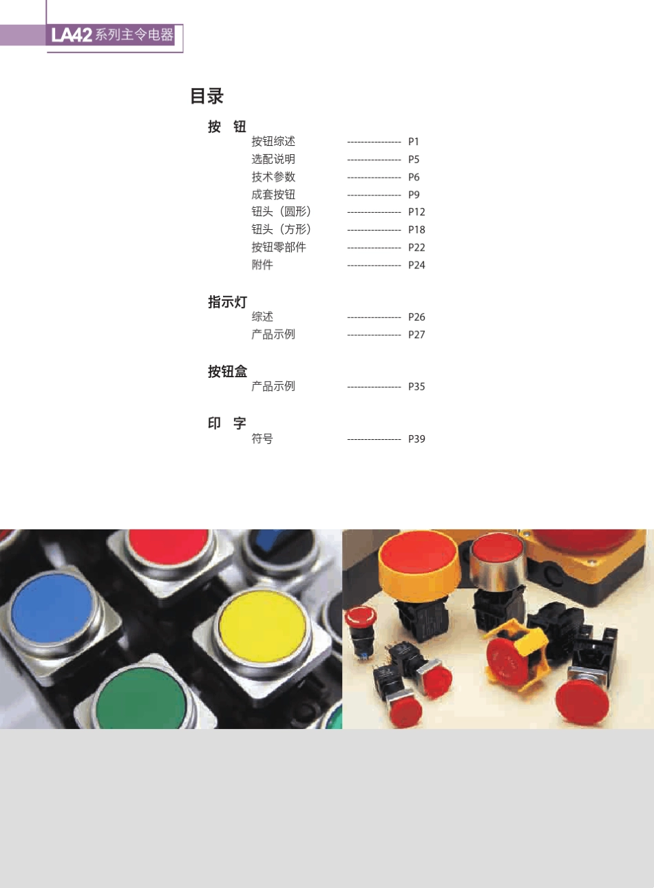 LA42AD17按钮·指示灯(Φ22)_第2页