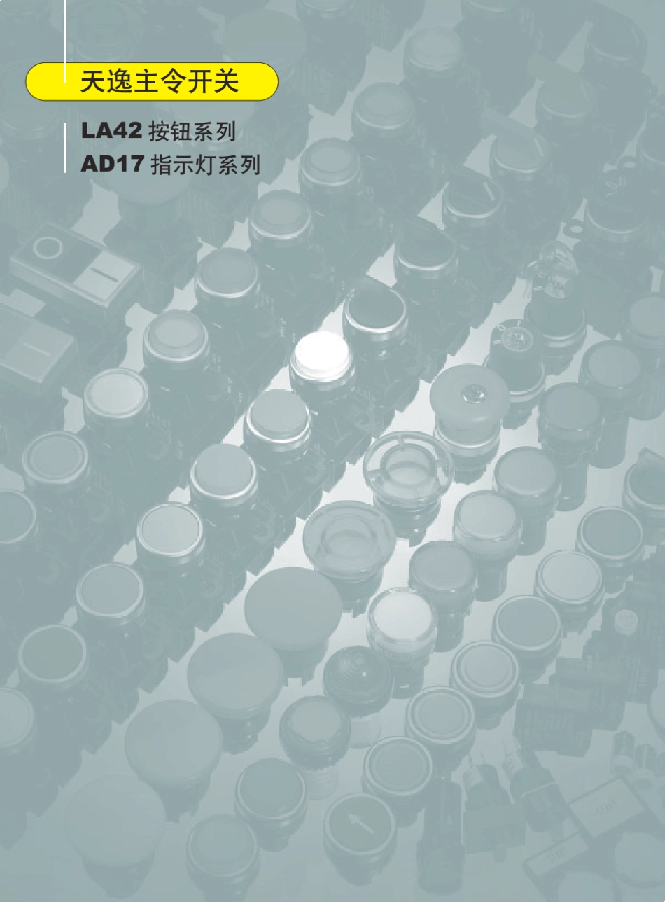 LA42AD17按钮指示灯_第2页