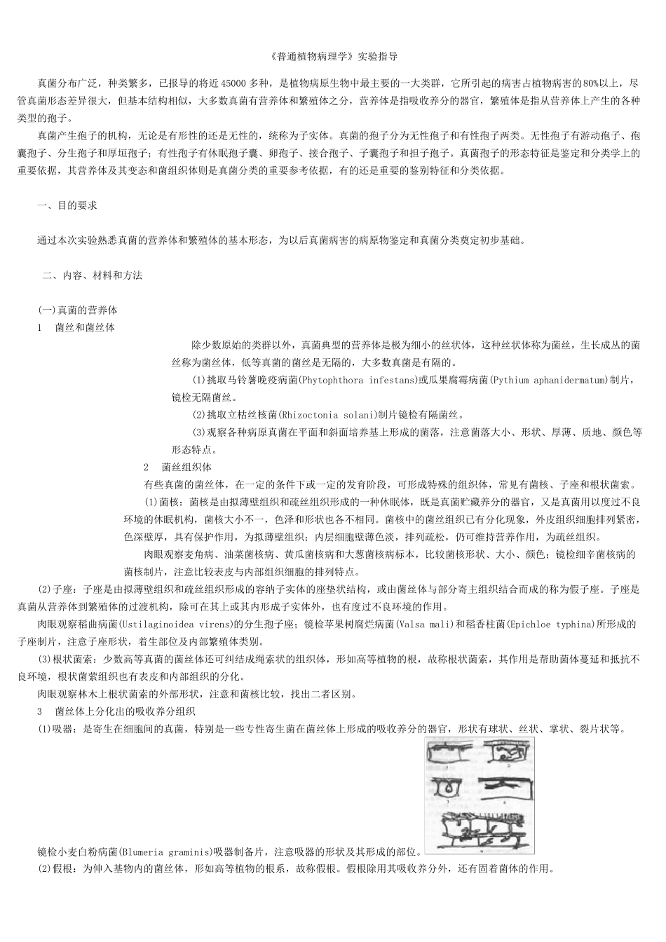 《普通植物病理学》实验指导_第3页