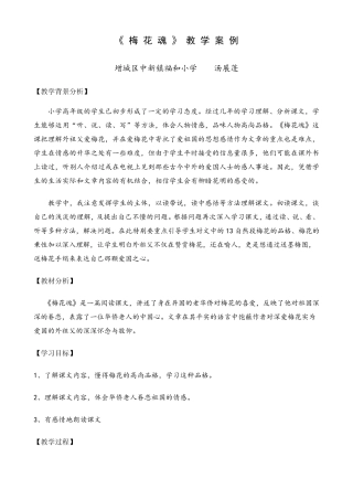 《梅花魂》教学案例