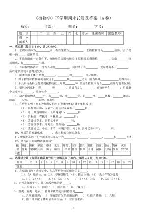 《植物学》下学期期末试卷及答案(A卷)