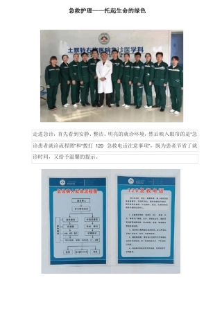 急救护理一科一品